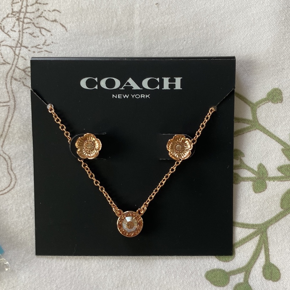 Coach earring and necklace set